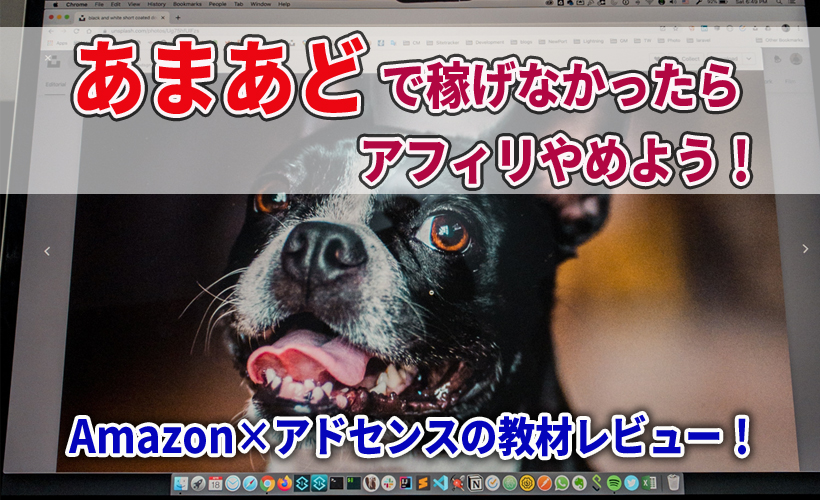 アマアドで稼げなかったらアフィリやめよう!Amazon×アドセンスの教材レビュー!