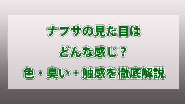 ナフサの見た目はどんな感じ？色・臭い・触感を徹底解説